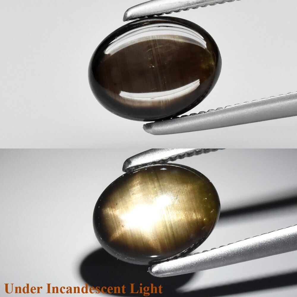 Natuurlijk Stersaffier Cabochon ovaal Kleur Zwart 1,48 ct. · 100759-Stersaffier-Cabochon-ovaal-Zwart-1,48-ct-Opaak-Bangkaja,-Chanthaburi.jpg
